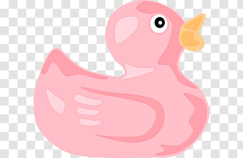 Pink Bird Rubber Ducky Water Cartoon - Livestock - Ducks Geese And Swans Transparent PNG