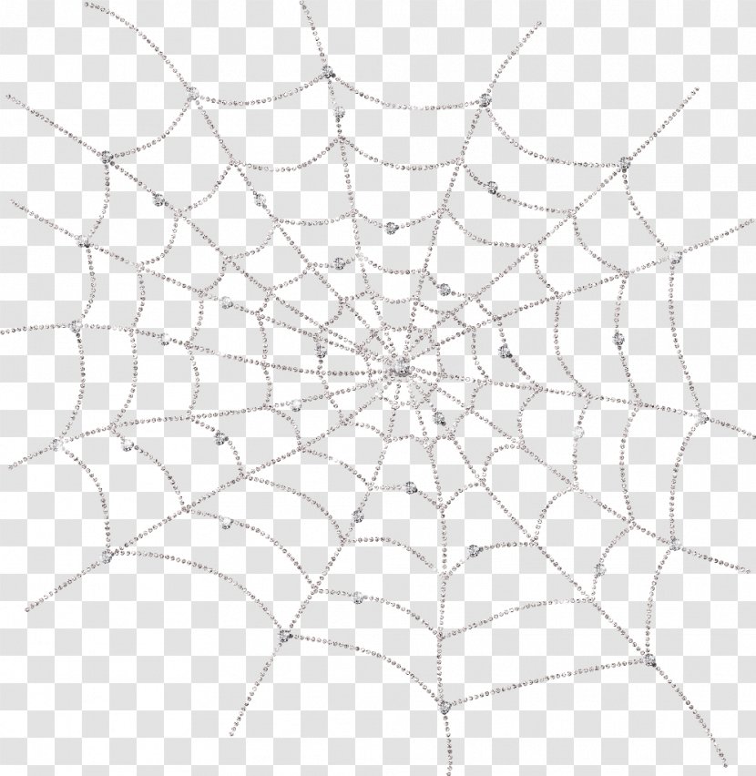 Spider Web - White Transparent PNG