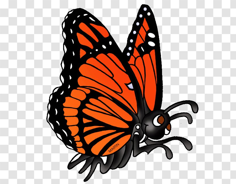 Monarch Butterfly - Pollinator Brushfooted Transparent PNG