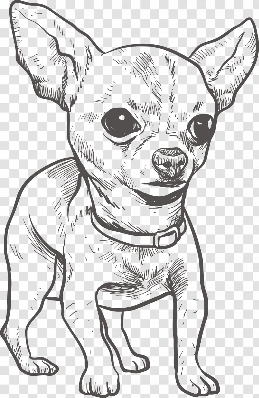 Chihuahua Puppy Drawing Illustration - Line Art - Hand Drawn Transparent PNG