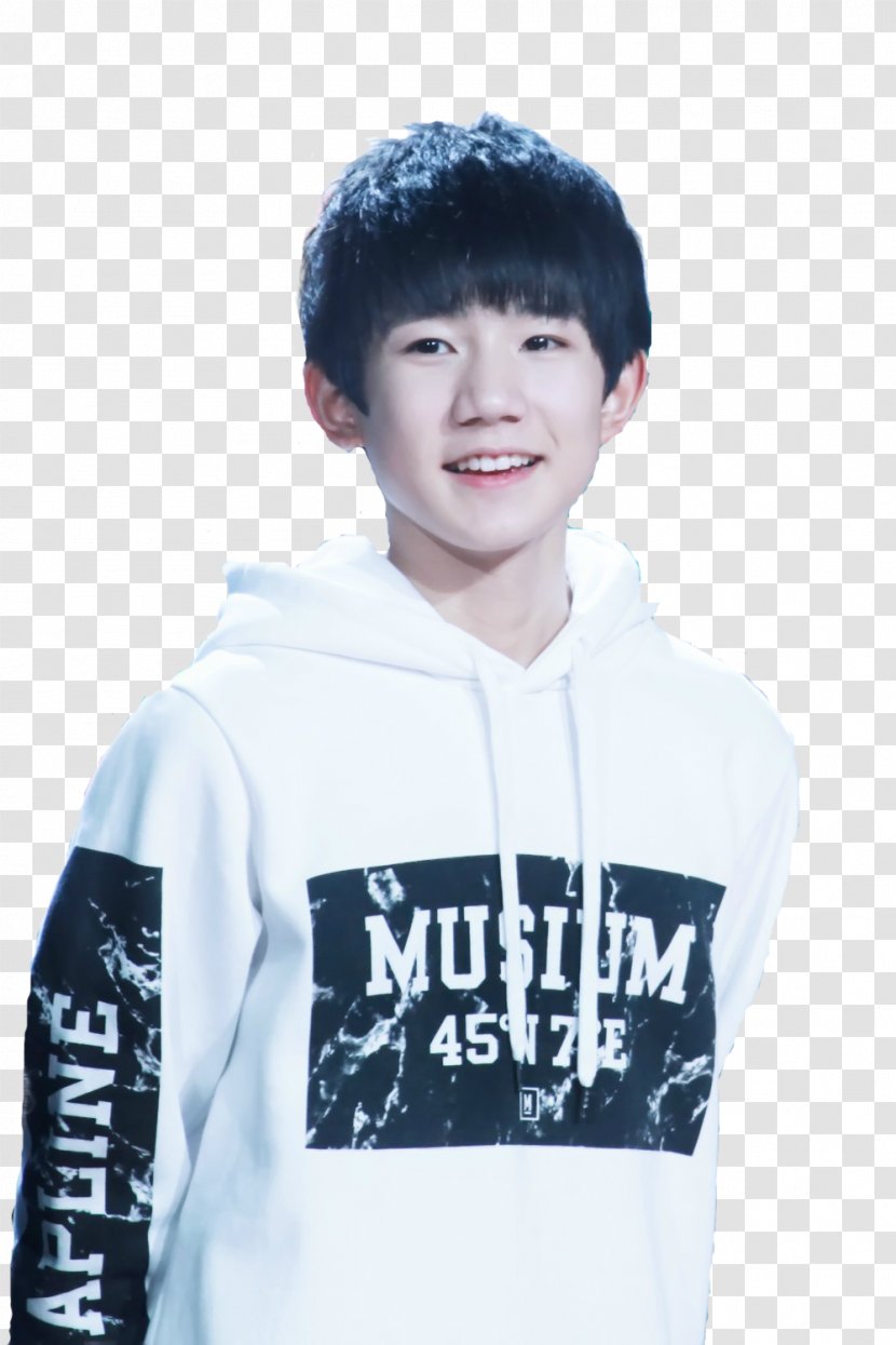 Roy Wang TFBoys Child Actor Male - Handsome Boy Transparent PNG