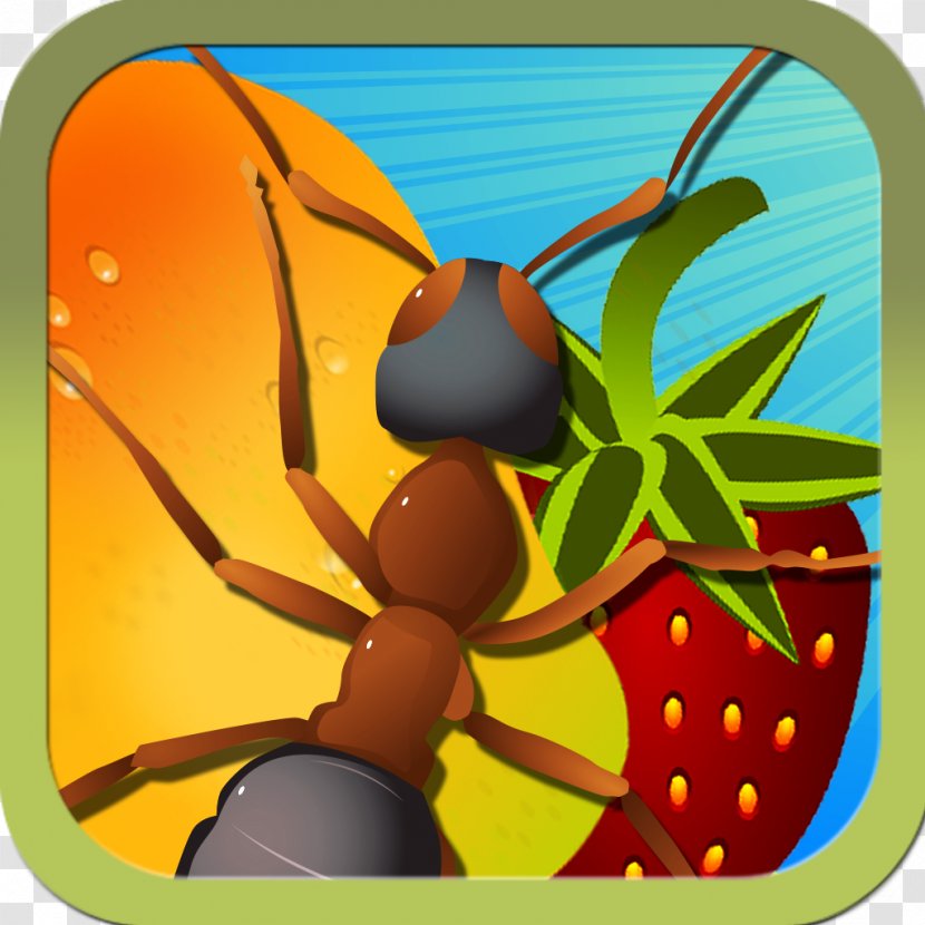 Insect Honey Bee Pollinator - Fruit - Ant Transparent PNG