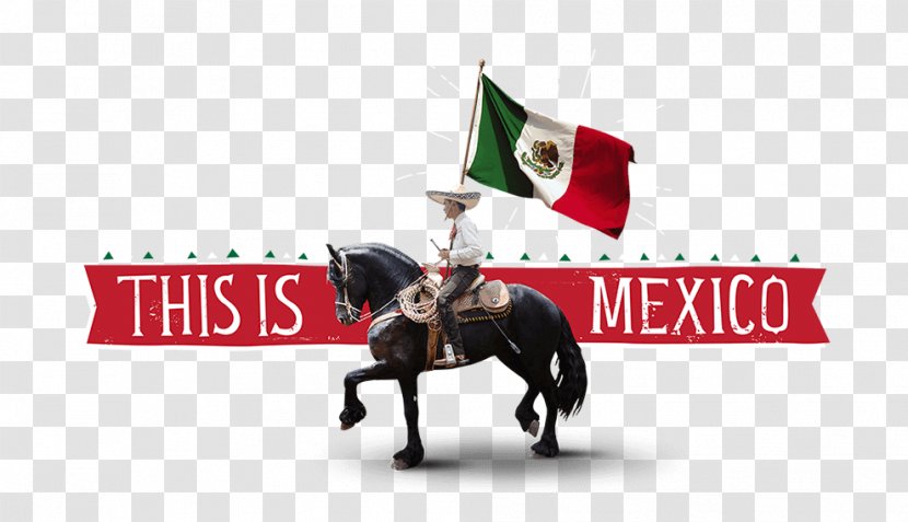 Mexico United States Of America Horse South Logo - Brand Transparent PNG