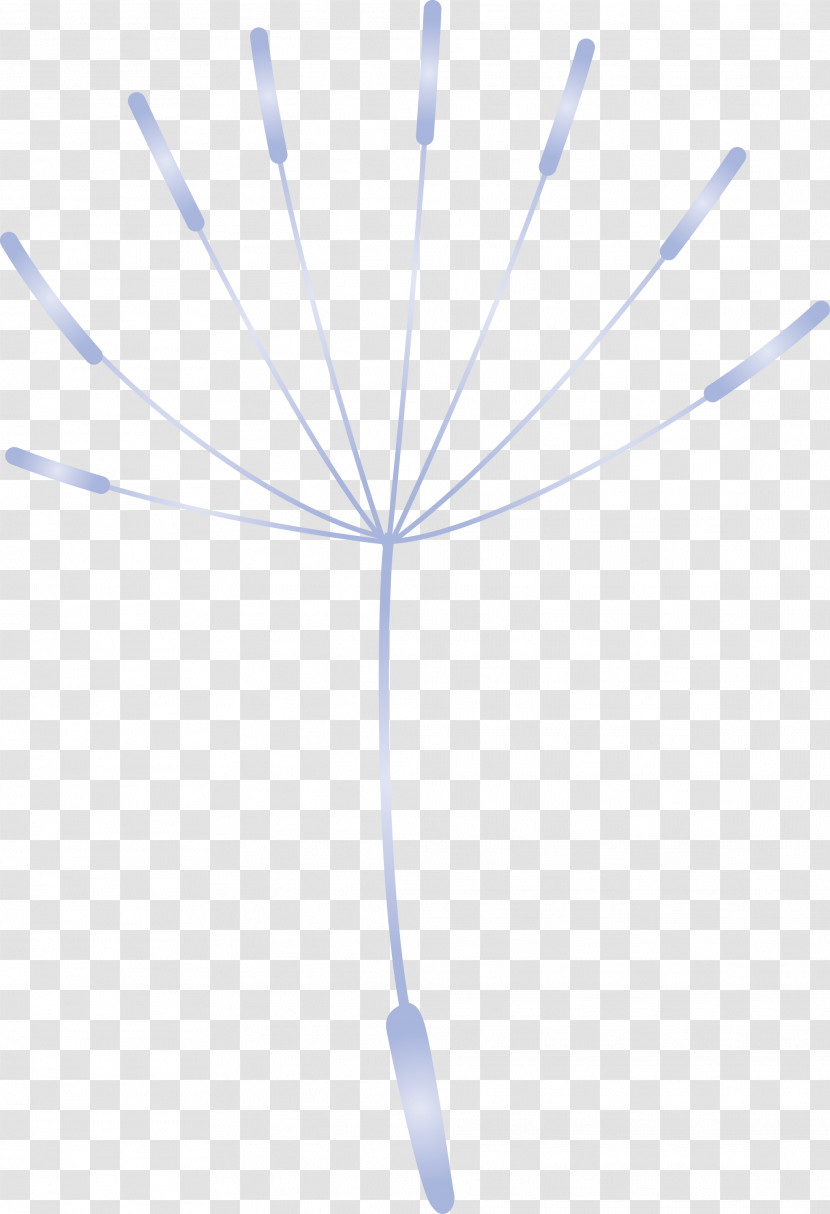 Dandelion Transparent PNG