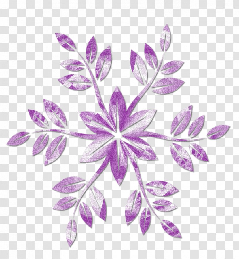 Petal Visual Arts Floral Design Stock Photography Pattern - Flora Transparent PNG