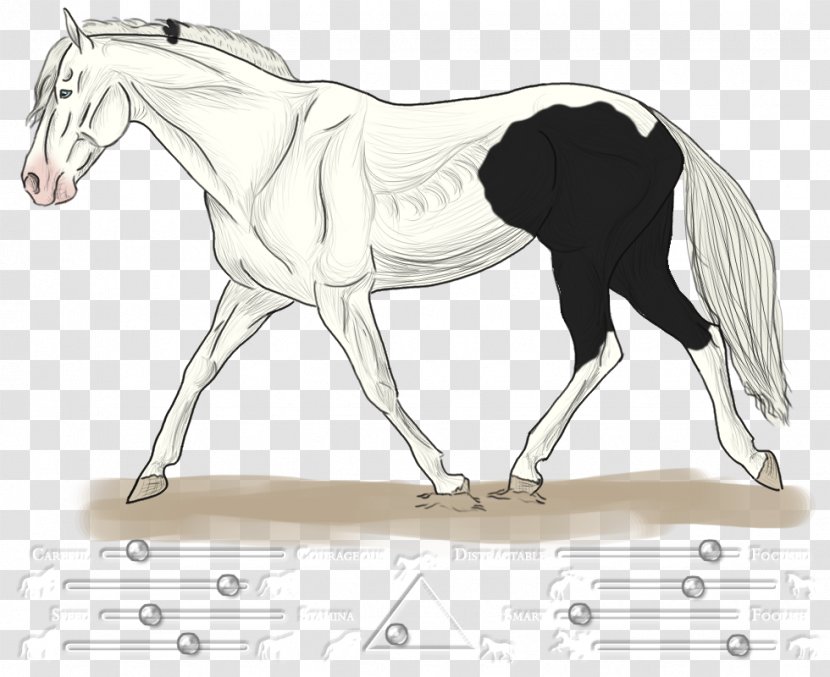 Foal Stallion Pony Colt Mustang - Horse - Irradiate 0 2 1 Transparent PNG