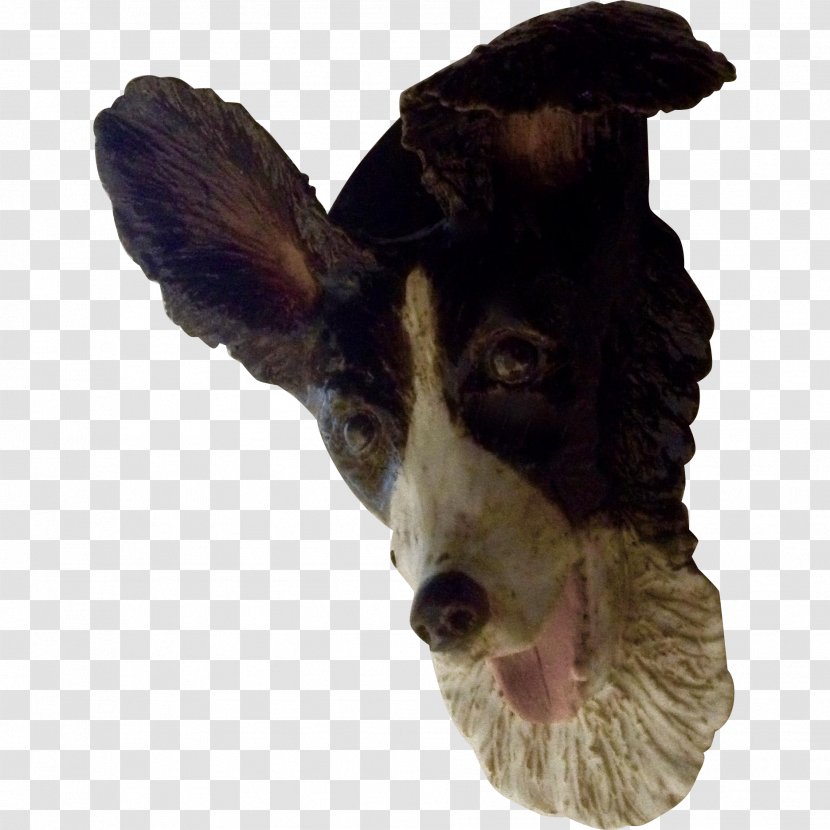 Dog Breed Snout Fur Transparent PNG