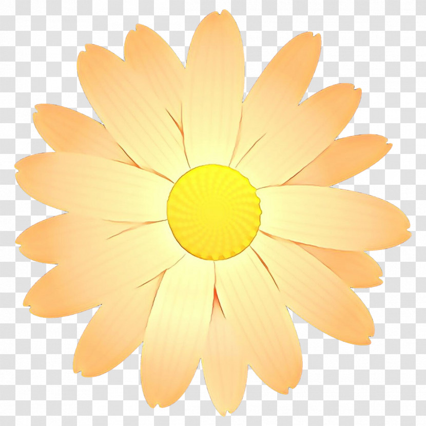 Daisy Transparent PNG