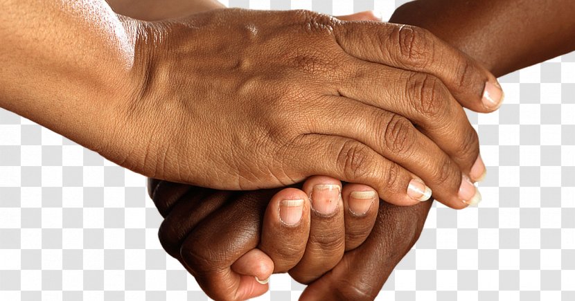 Handshake Holding Hands Health Care - Finger - Hand Transparent PNG