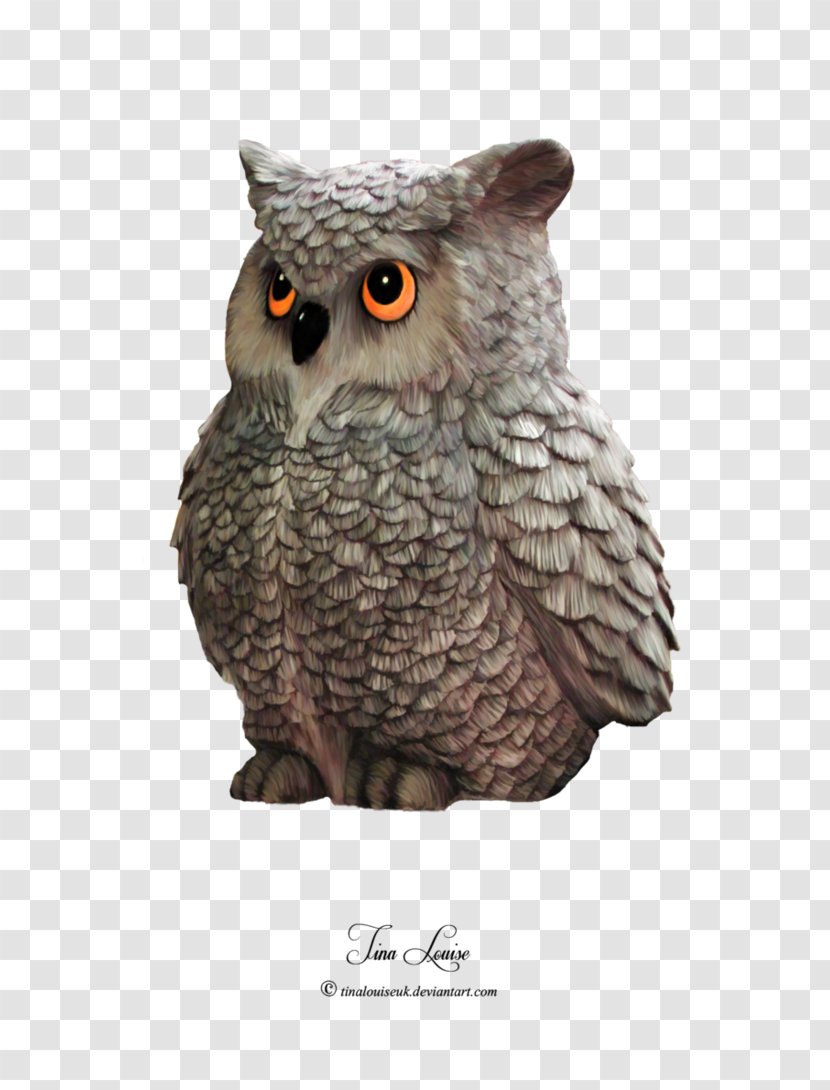 Tawny Owl Bird Of Prey Great Horned - Animal - Creative Transparent PNG