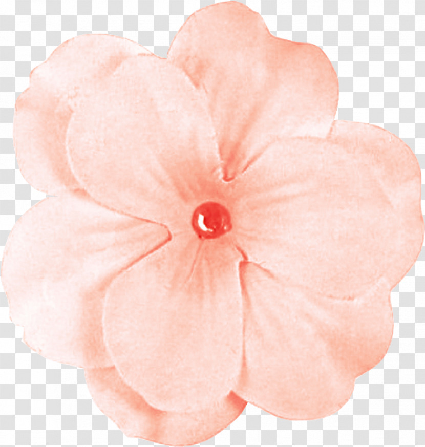 Pink Petal Flower Peach Plant Transparent PNG