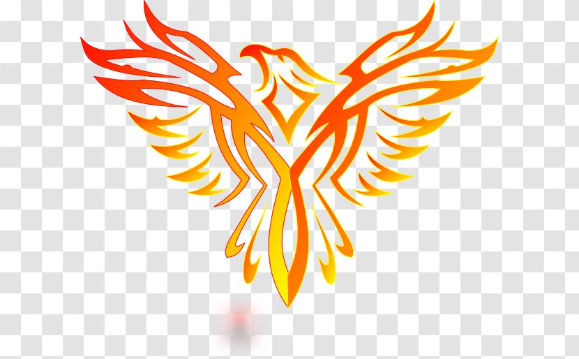 Logo Eagle Drawing Clip Art - Wing Transparent PNG