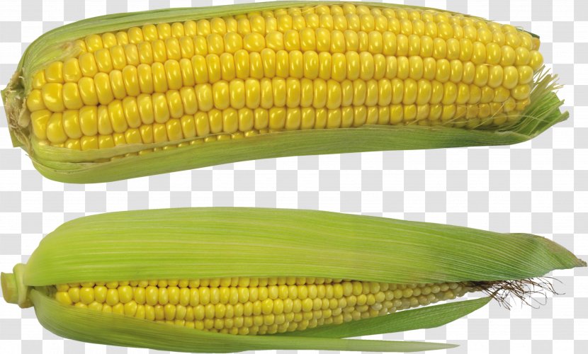 Corn On The Cob Maize Sweet Kernel - Vegetable Transparent PNG