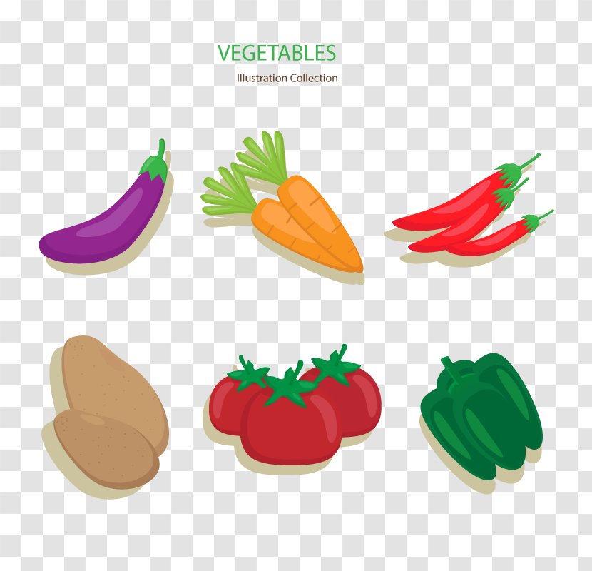 Vegetable Carrot Chili Pepper Drawing - Shoe - Eggplant Vector Transparent PNG