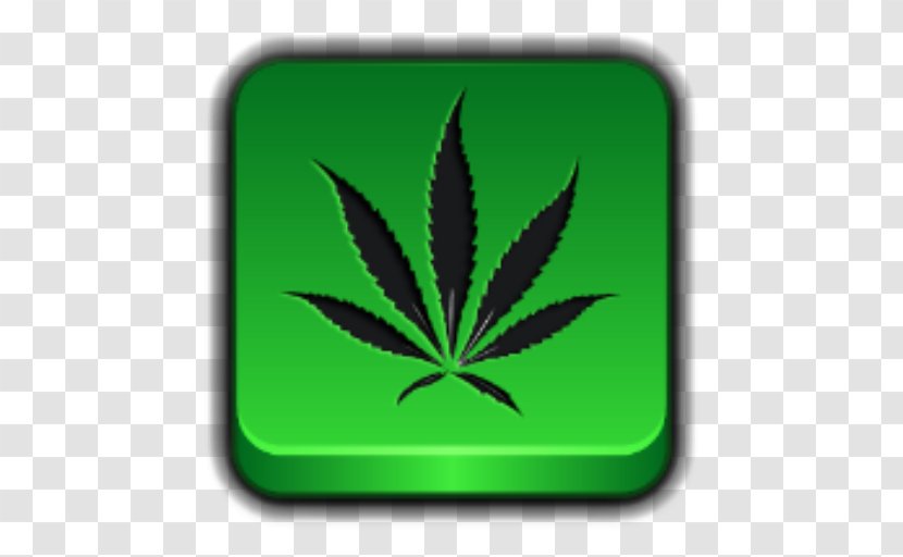 Cannabis Sativa Medical Drawing Leaf - Hemp Transparent PNG