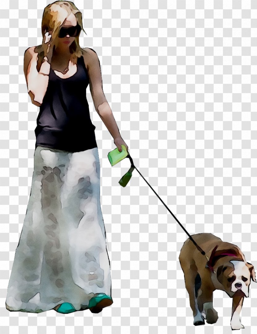 Dog Breed Obedience Training Leash Walking - Carnivore Transparent PNG