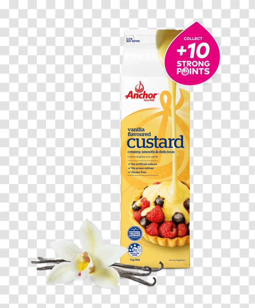 Custard Food Flavor Vanilla Cream Transparent PNG