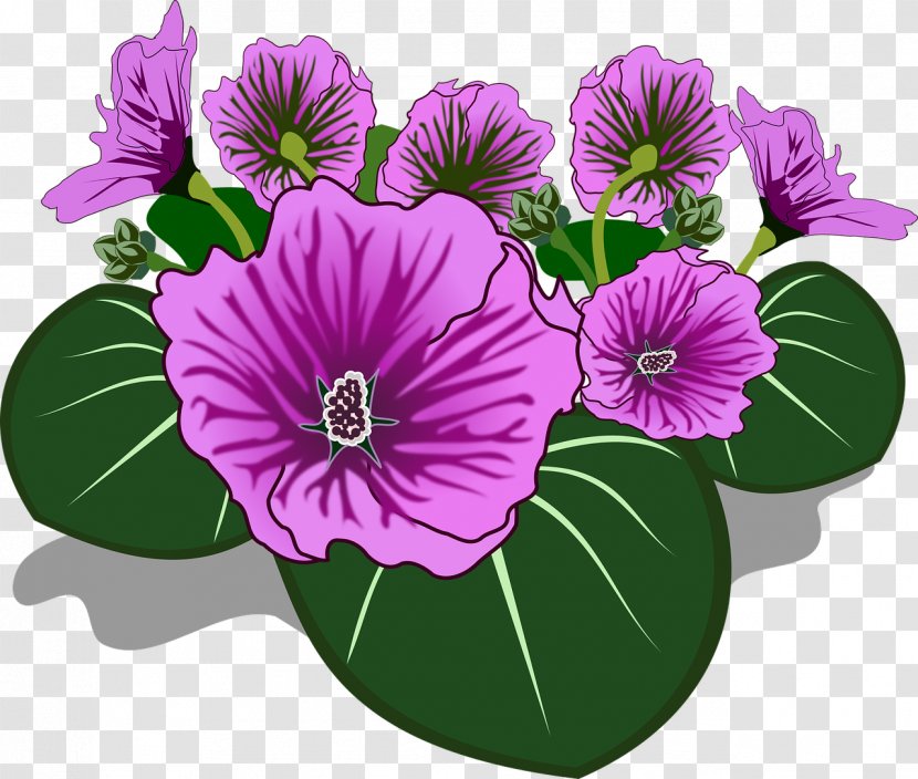 Flower Drawing Color Clip Art - Violet Family - Wild Flowers Transparent PNG