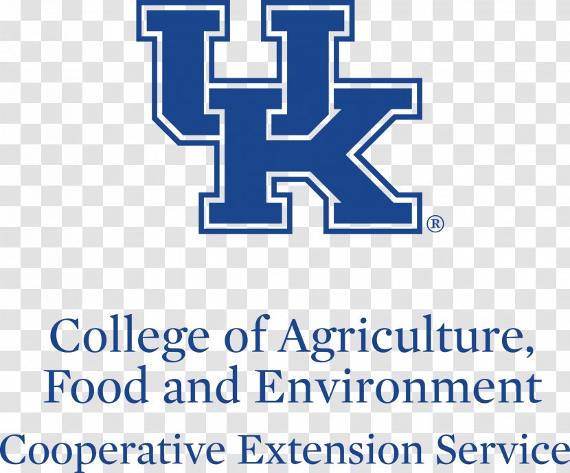 Kentucky Wildcats Football Women's Basketball School Of Information Science, The ISchool At University (UK) Student - Text Transparent PNG