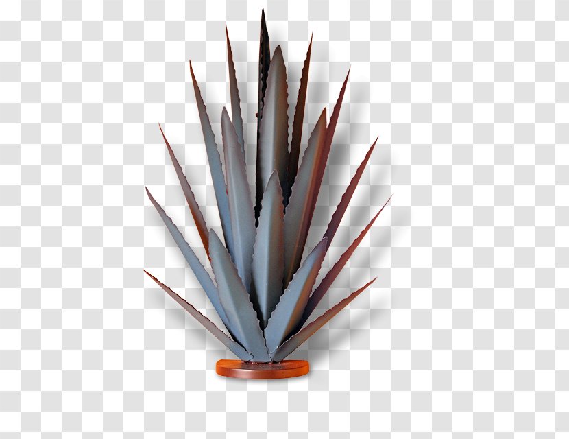 Agave Azul Mexican Cuisine Tequila Jalisco Blue Transparent PNG