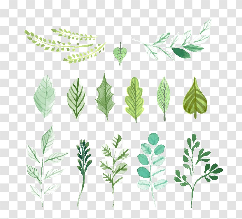 Leaf Green Painting - Leaves Transparent PNG