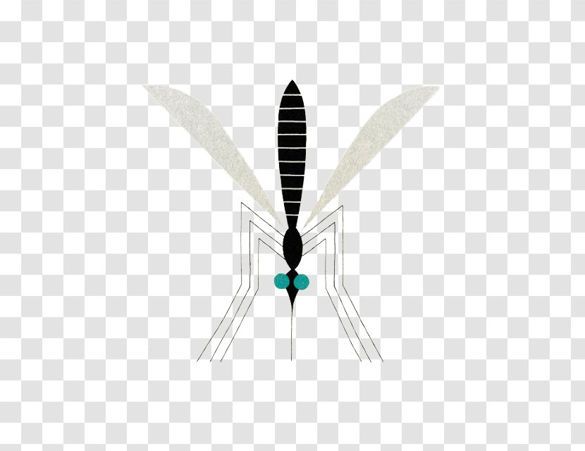 Insect Mosquito Illustration - Poster - Black Cartoon Transparent PNG