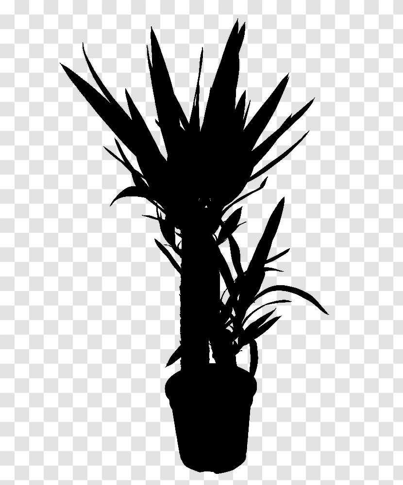 Palm Trees Plant Stem Flower Leaf Silhouette - Grass Transparent PNG