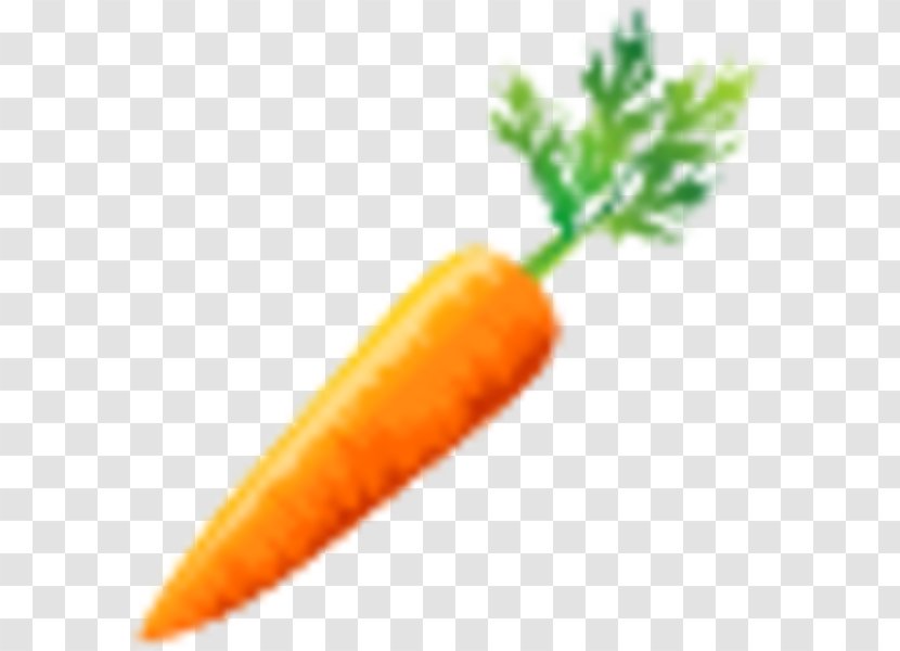 Baby Carrot Vegetable Clip Art - Food - Carrots Transparent PNG