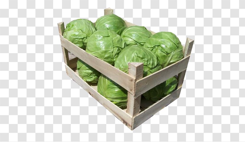 Romaine Lettuce Brussels Sprout Spring Greens Cruciferous Vegetables - A Variety Of Chinese Cabbage Transparent PNG