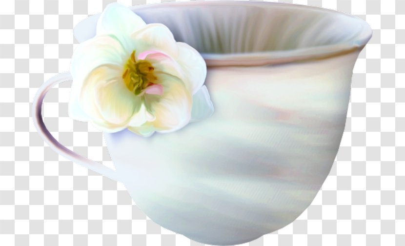 Saucer Porcelain Teacup Kop - Kitchen - Plate Transparent PNG