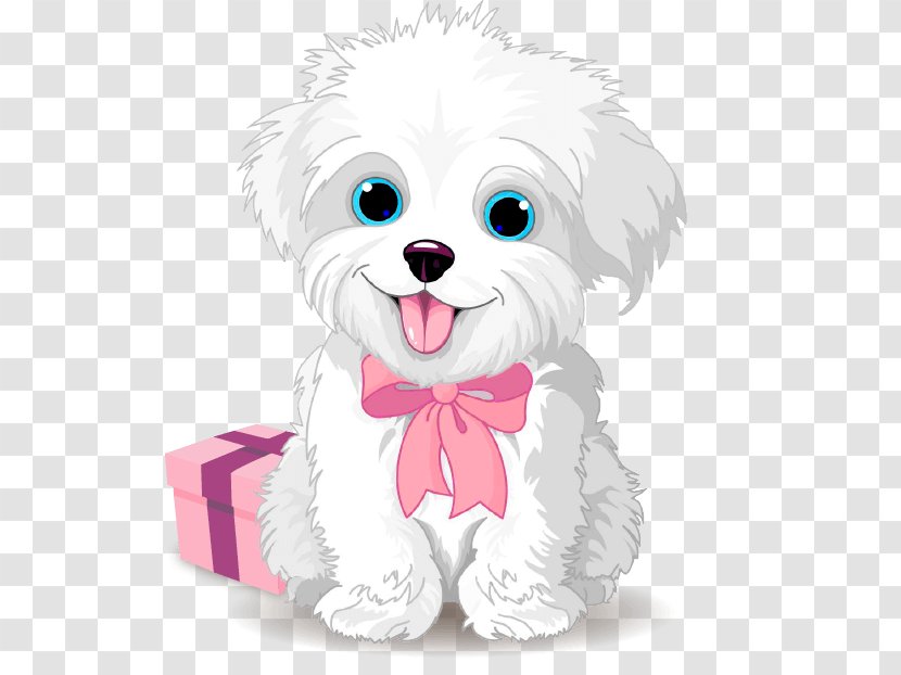 Maltese Dog Bichon Frise Puppy Morkie Yorkshire Terrier - Flower Transparent PNG