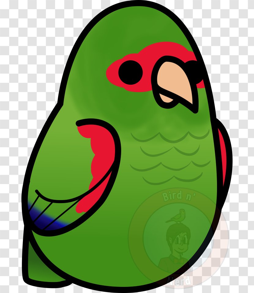 Parrot Beak Monk Parakeet Bird Jandaya - Video Game Transparent PNG