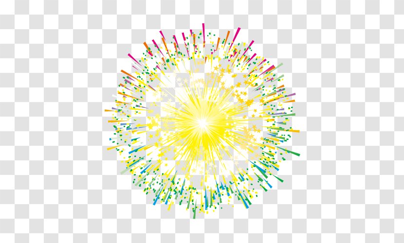 Fireworks - Flowering Plant - Green Transparent PNG