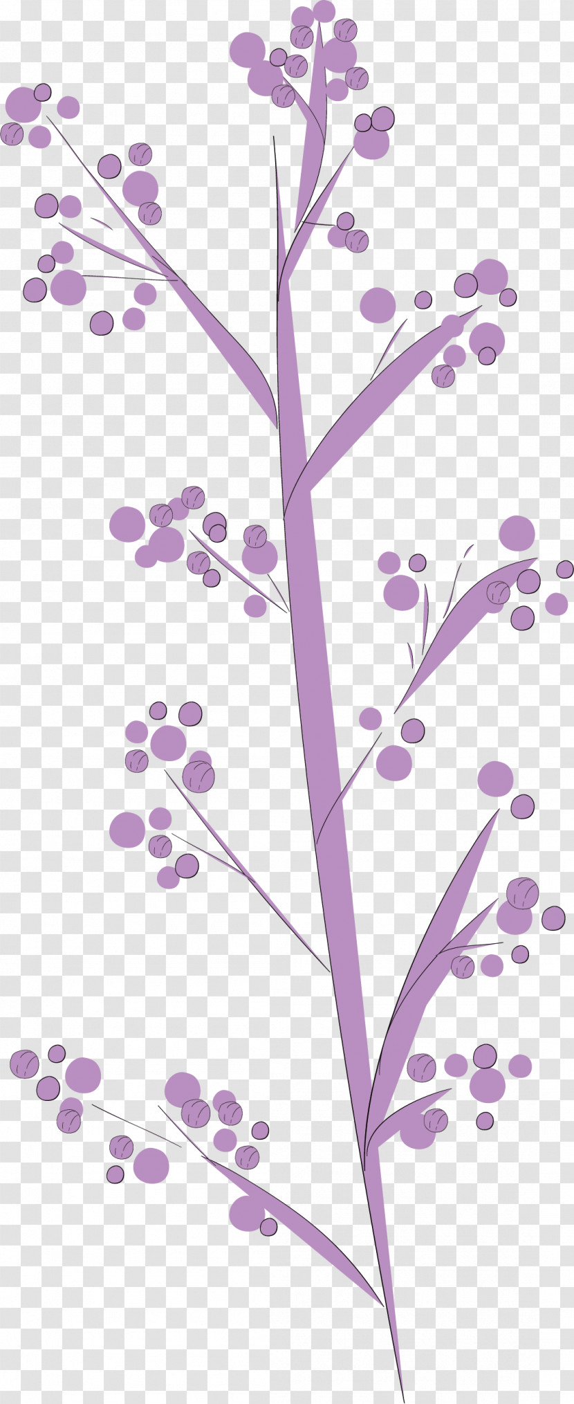 Simple Leaf Simple Leaf Drawing Simple Leaf Outline Transparent PNG