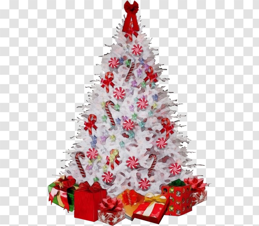 Christmas Tree - Watercolor - Interior Design Pine Transparent PNG