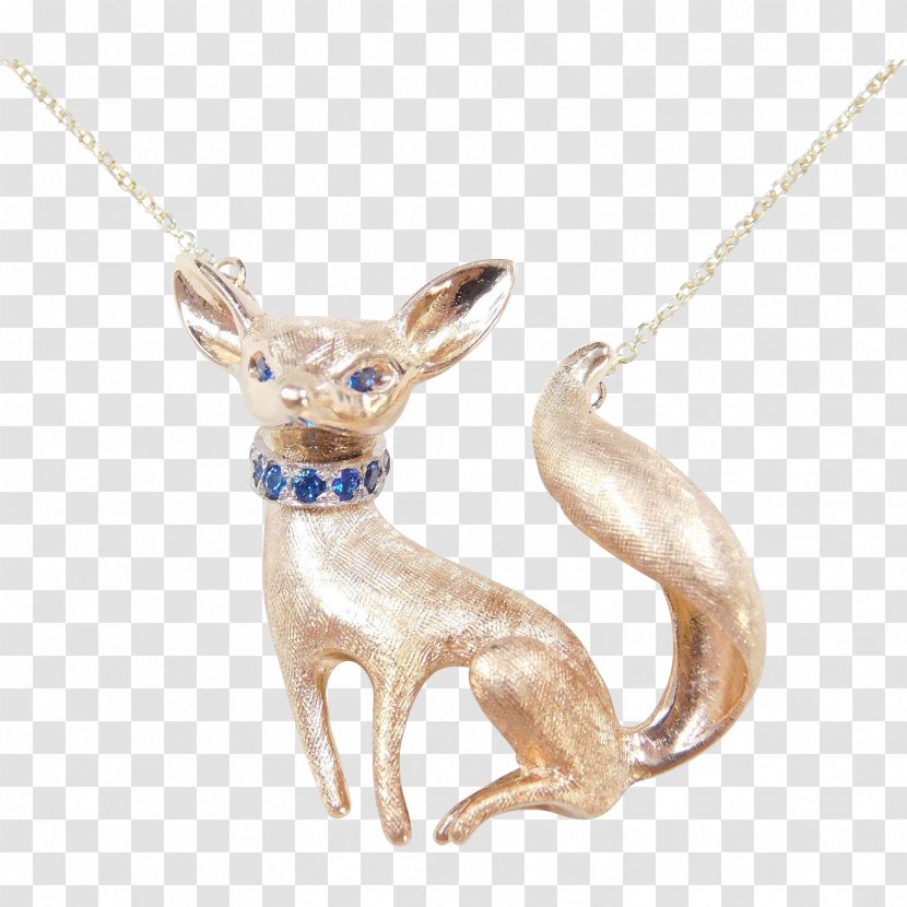 Jewellery Necklace Charms & Pendants Clothing Accessories Dog - Body - Fennec Fox Transparent PNG