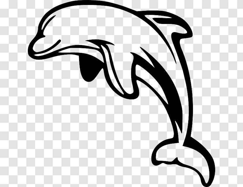 Bottlenose Dolphin Clip Art - Monochrome Photography - Om Vector Transparent PNG