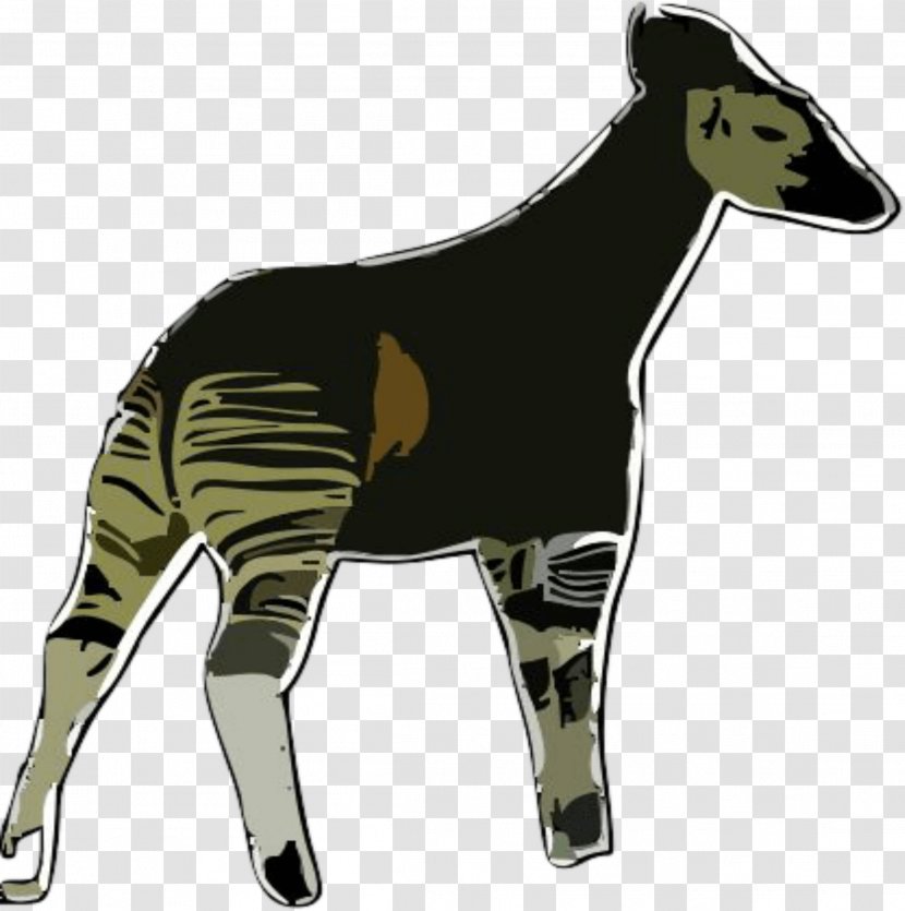 Okapi Clip Art - Mammal - Animal Sign Transparent PNG