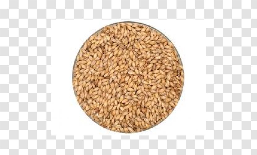 Oat Warring States Period Cereal Grain Emmer - Grass Family - Whole Barrels Transparent PNG
