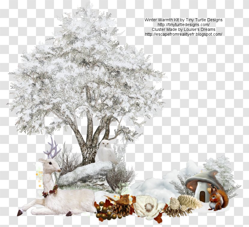 Tree Branch Snow Clip Art - Frost - Warmth Transparent PNG