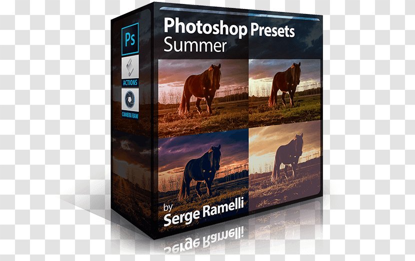 Tutorial Adobe Lightroom Systems - SUMMER CLASS Transparent PNG