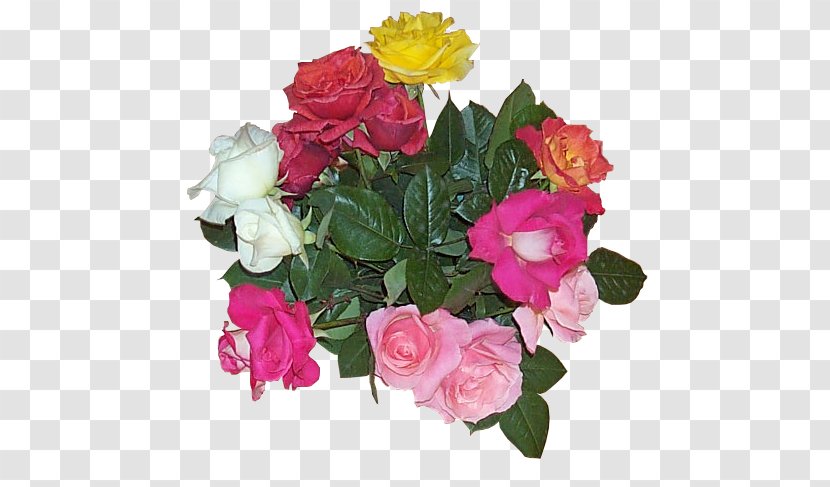 Garden Roses Flower Bouquet Cut Flowers Floral Design - 3 Red Transparent PNG