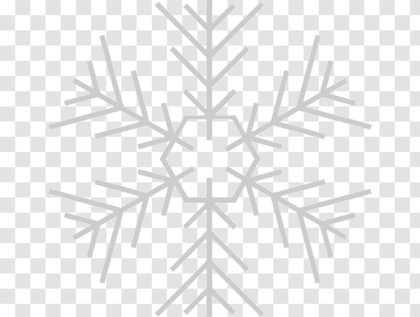 Vector Graphics Snowflake Illustration Royalty-free - Pine Transparent PNG