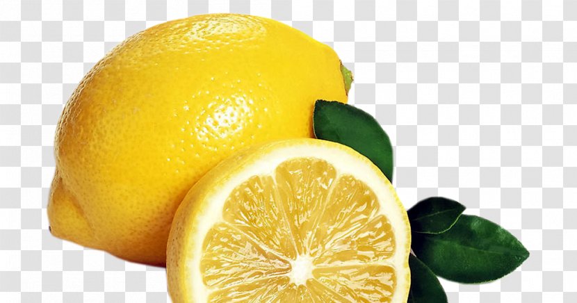 Lemon Tart Grapefruit - Bitter Orange Transparent PNG