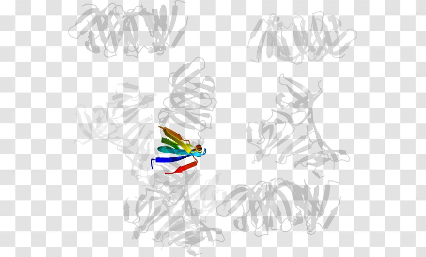 Clip Art Illustration Feather Drawing /m/02csf - Vertebrate - Wing Transparent PNG