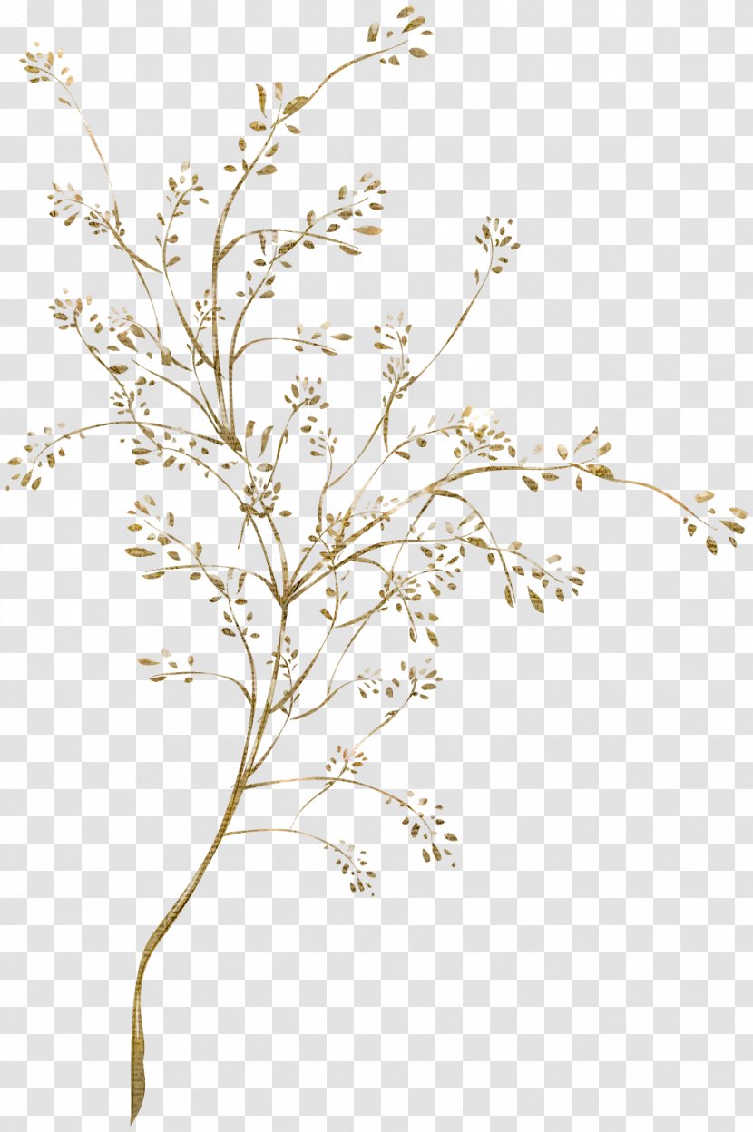 Plant Stem Leaf Flowering Victorian Era - Flora - Trees Day Transparent PNG