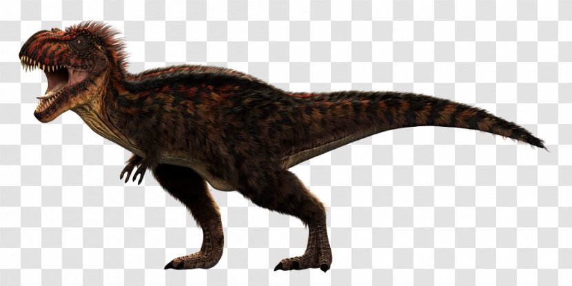 Tyrannosaurus Velociraptor Primal Carnage Aucasaurus Dinosaur Transparent PNG