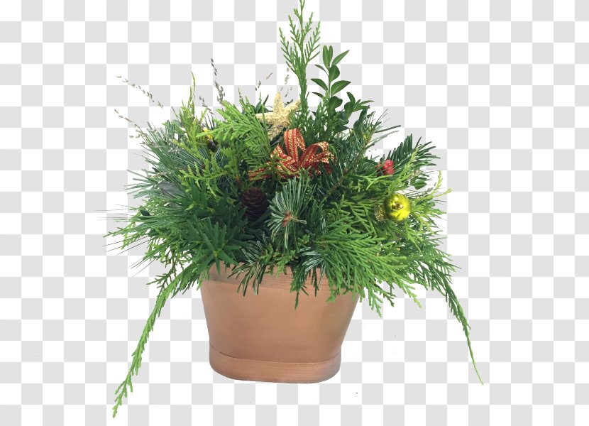 Houseplant Garden Flowerpot Centrepiece Lawn - Greenery Transparent PNG