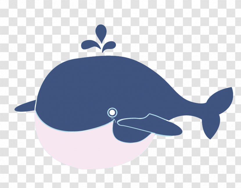 Whale Cartoon Poster - Baleen - Cute Transparent PNG
