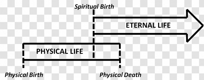 Eternal Life God Eternity Solus Christus Five Solae - Brand Transparent PNG
